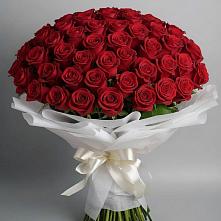 Букет 101 Красная роза Блэк Мэджик в Красная Горка Республика Башкортостан