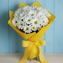 Букет цветов из:  Хризантемы в Красная Горка Республика Башкортостан