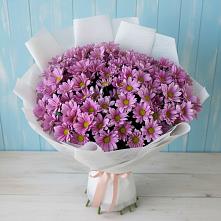 Букет цветов из:  Хризантемы #REPLACE_PRED# Красная Горка Республика Башкортостан