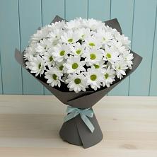 Букет цветов из:  Хризантемы в Красная Горка Республика Башкортостан