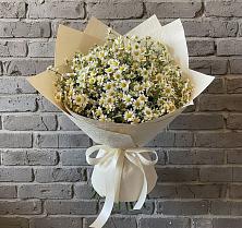 Букет цветов из:  Ромашки в Красная Горка Республика Башкортостан