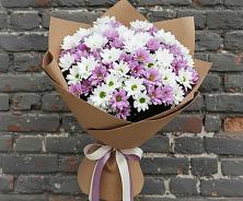 Букет цветов из:  Хризантемы в Красная Горка Республика Башкортостан