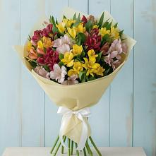 Букет цветов из:  Альстромерии в Красная Горка Республика Башкортостан