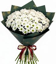 Букет цветов из:  Хризантемы #REPLACE_PRED# Красная Горка Республика Башкортостан