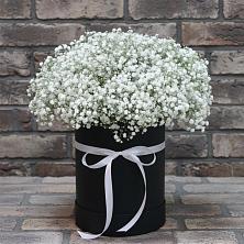 Цветочная композиция из Гипсофила в шляпной коробке в Красная Горка Республика Башкортостан