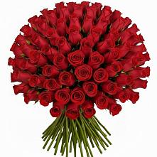 Букет Красные розы Чери Лав в Красная Горка Республика Башкортостан