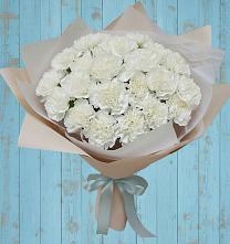 Букет цветов из:  Гвоздики в Красная Горка Республика Башкортостан
