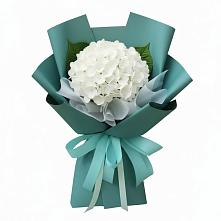 Букет цветов из:  Гортензия в Красная Горка Республика Башкортостан